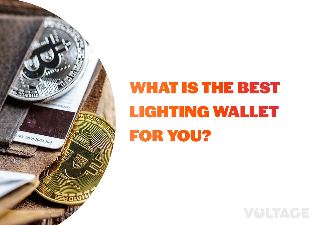 What is the best Lighting Wallet for you? blog