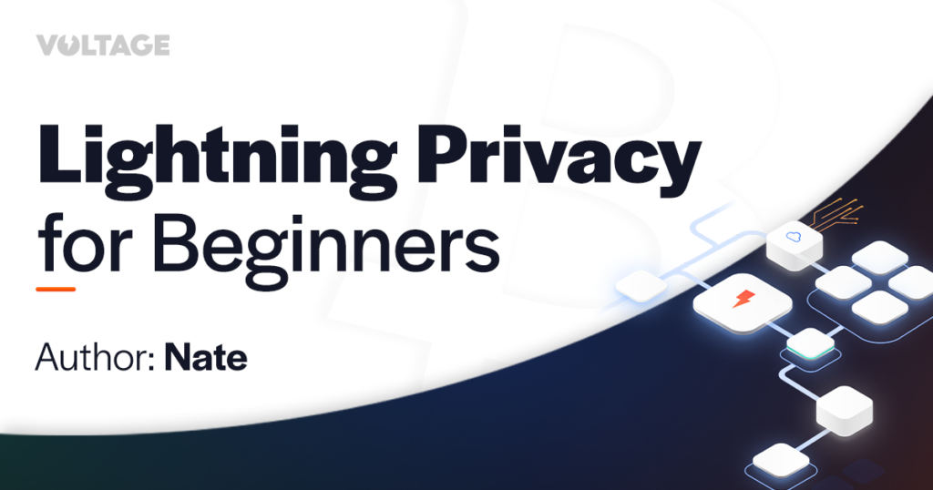 Lightning Privacy for Beginners blog